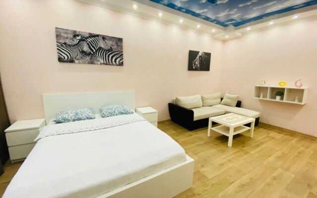 Apartment Hanaka Vladimirskaya 9