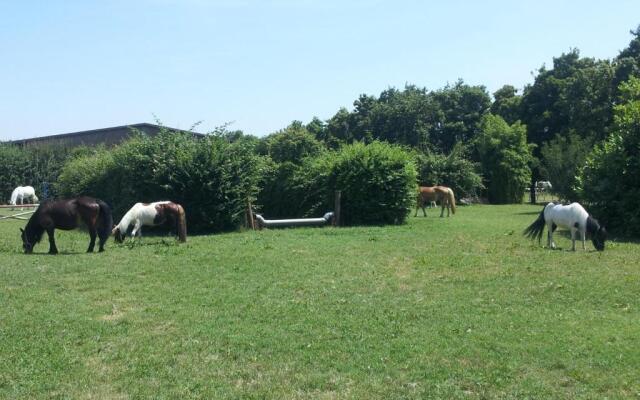 Agriturismo La Dondina