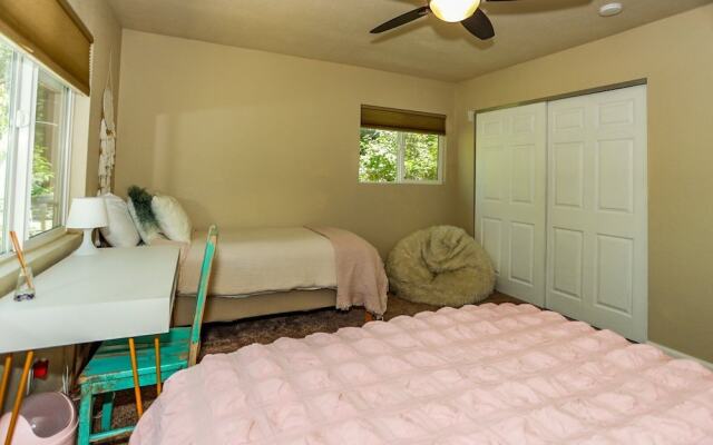 Bohemia BIG Bear #1926