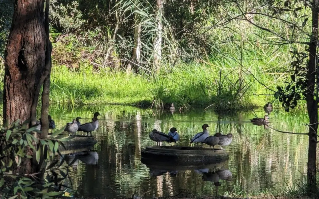 The Oasis One Mile beach