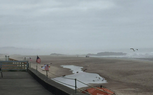 Sandcastle Beachfront Motel