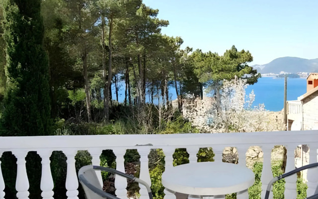 Villa Nikola Kentera