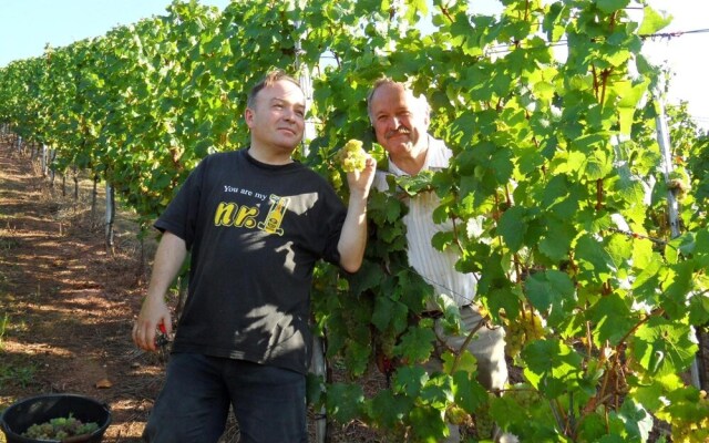 Weingut Gästezimmer Fröhliches Weinfass