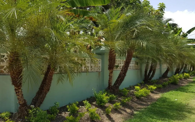 Ocho Rios Villa at Coolshade VI