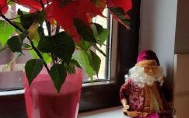 Apartament Kalinderu 2 Busteni