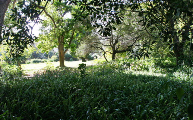 Avemore Wag ‘n Bietjie No 1