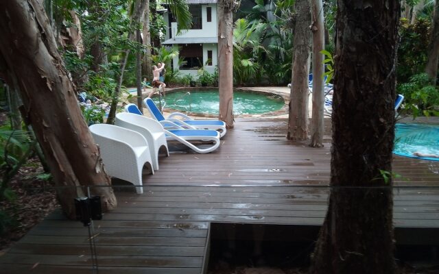 Palm Cove Retreat 31