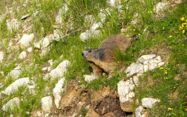 Rifugio Monte Baldo
