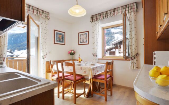 Ciasa Pettena (PFS250)