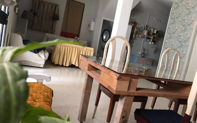 El patio del limonero