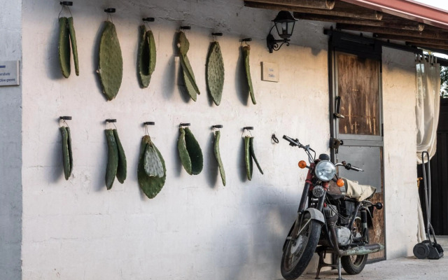 Masseria Bio - Agriturismo Villa Grazia