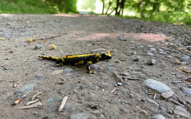 Living in the old Granary