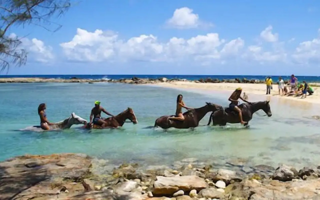 Ocho Rios Villa at Coolshade