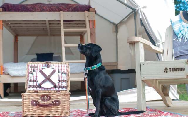 Tentrr - Sean Billy Pond Hideaway