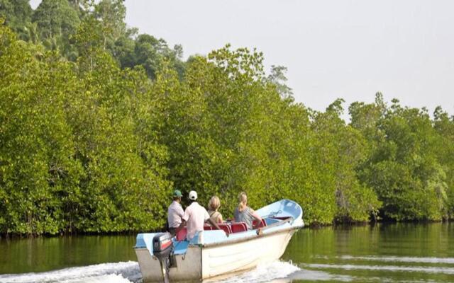 Pelli Riverine