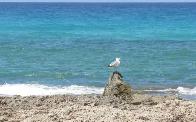 Residence Rosa Dei Venti