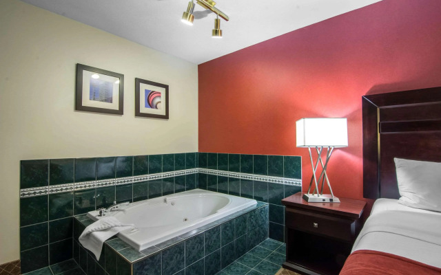 Comfort Inn & Suites Airport South