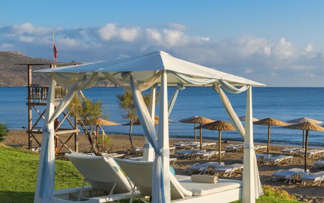 Giannoulis Santa Marina Plaza - Adults Only