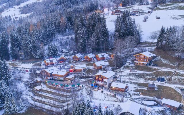 Chalet in Wildkogel Near Ski Slopes & Pool