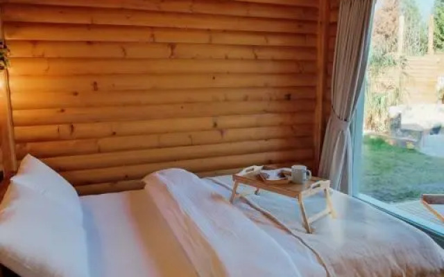 Rast Sapanca