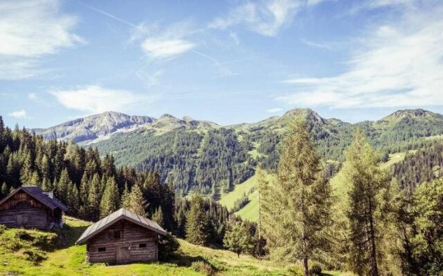 Hotel Alpenrose Zauchensee