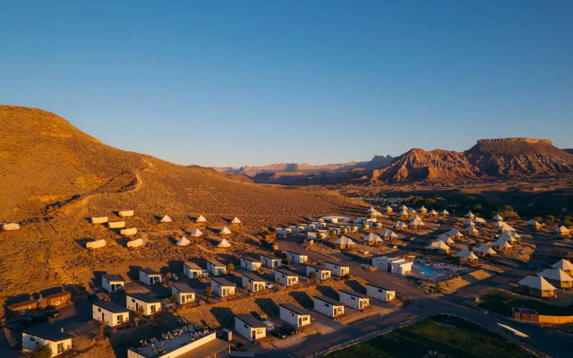 Zion Wildflower, BW Premier Collection