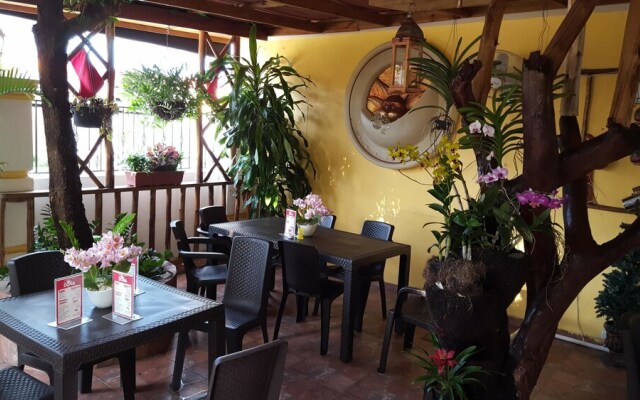 Hotel  Bella Savonesa
