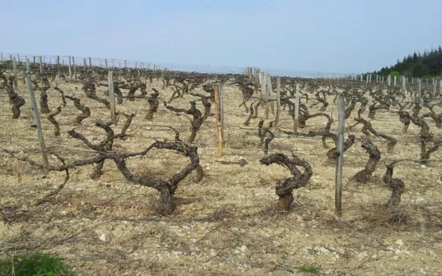 Hôtel Restaurant Le Bourgogne