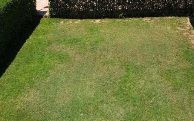 مارسيليا بيتش 3