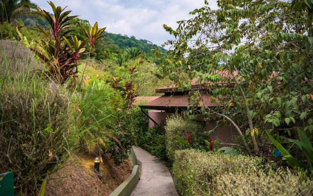 Tiki Villas Rainforest Lodge & Spa
