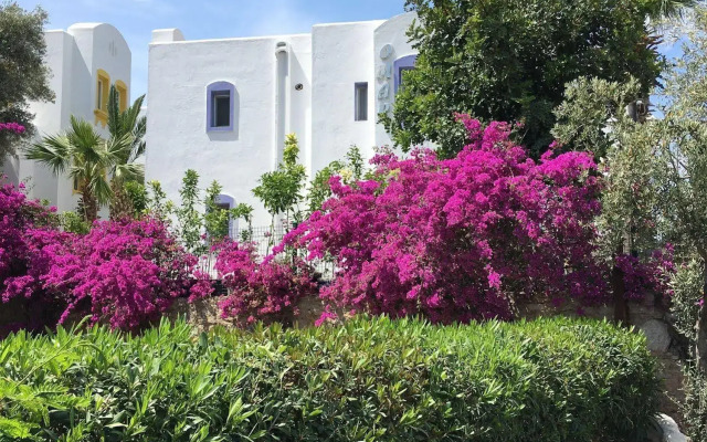 Omar Hotel & Suites