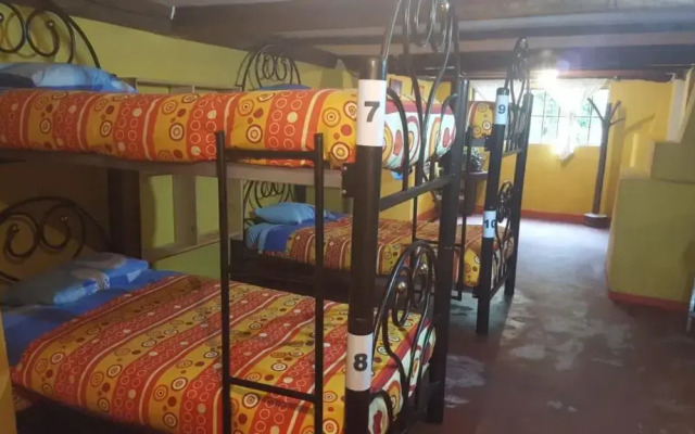 Altai Oasis Eco lodge