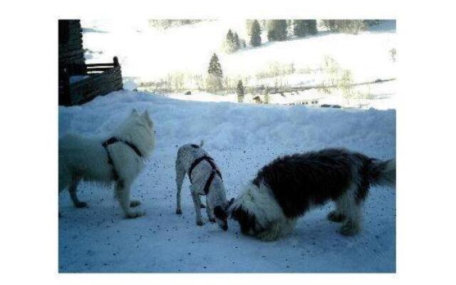 Falkenstein-Wohnung-4-Haus-B