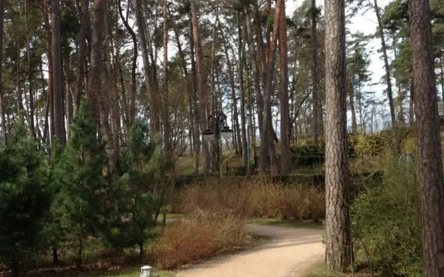Forest Guesthouse
