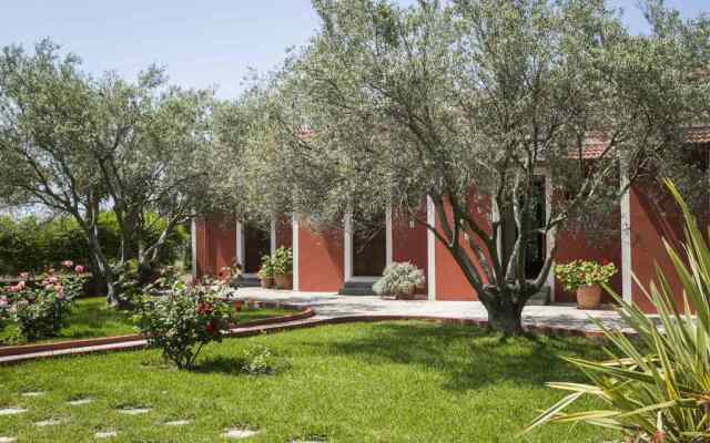 Dendrolivano Studios & Apartments