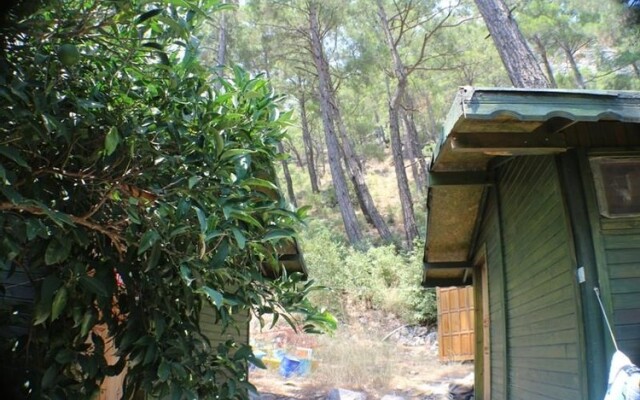 Olympos Zeytin