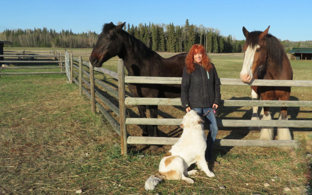 Woodhouse Cottages and Ranch