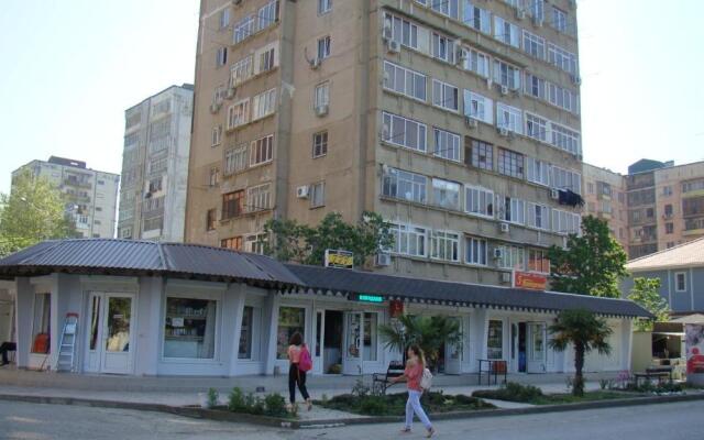 Apartments on Abazgaa 61
