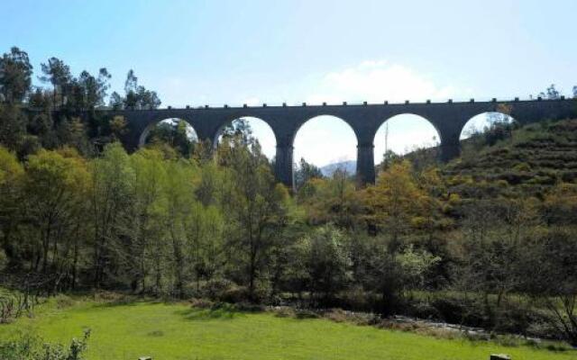 Camélias de Basto - Turismo Rural