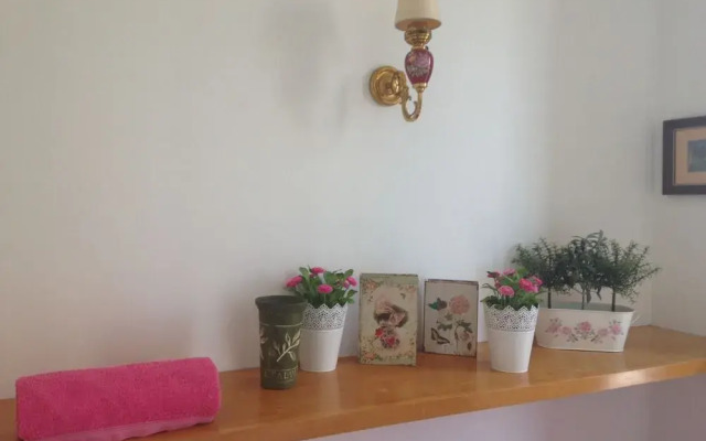 Petunia - Guest House