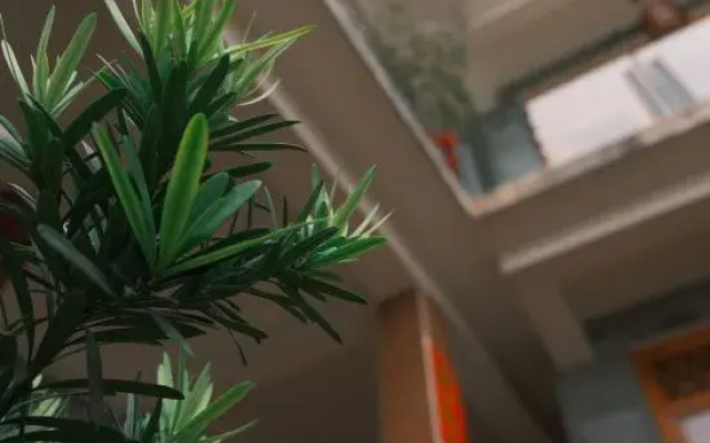 Dali Xiaotuanshan Inn