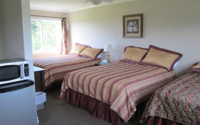 Scenic Motel Moncton
