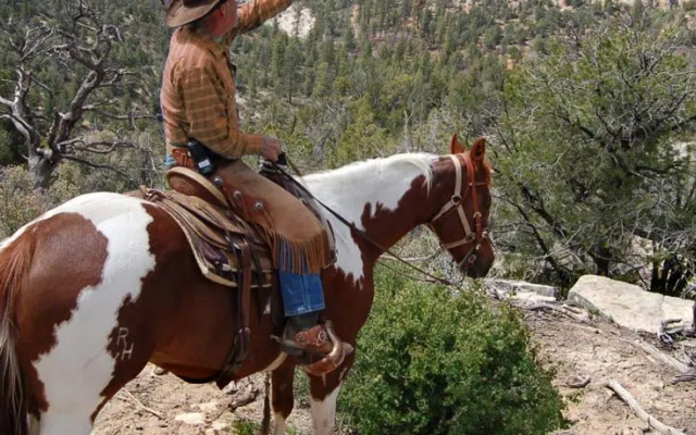 Zion Ponderosa Western Wagons & Tents