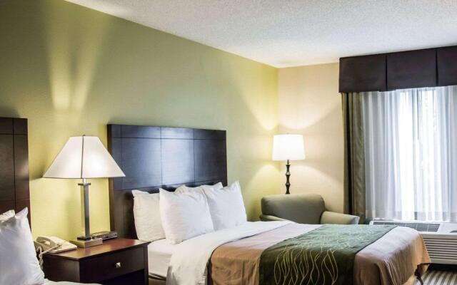 Comfort Inn & Suites St. Pete - Clearwater International Airport