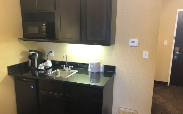 Holiday Inn Express & Suites Lansing-Dimondale