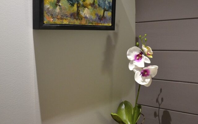 Domaine de la Gazaille