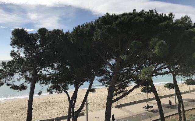 Apartamento Miramar Vistas Frontales Mar - 124B