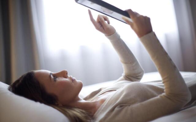 ibis Mulhouse Ile Napoléon