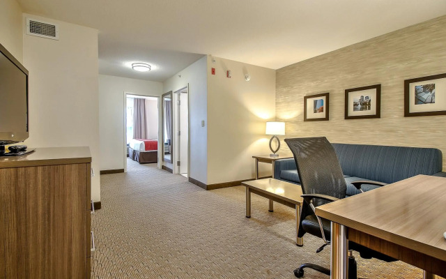 Comfort Inn And Suites South