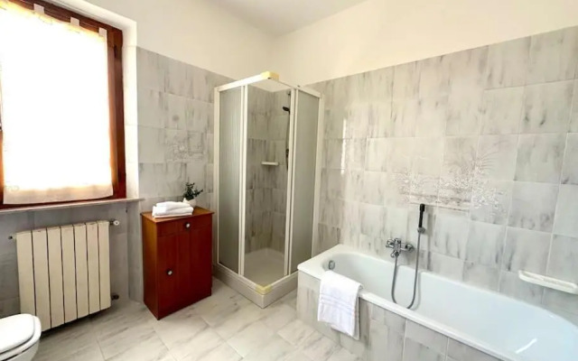 Le piccole Vigne (Vignine)